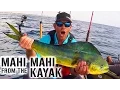 Download Lagu Kayak Fishing: MAHI MAHI \u0026 SAILFISH Action in Florida | Field Trips with Robert Field