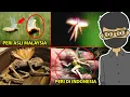 Download Lagu 10 PENAMPAKAN PERI ASLI DI DUNIA NYATA
