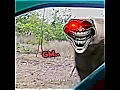 Download Lagu Moment before disaster☠️🗿...|| troll face edit - Mangos Mangos tik tok (slowed) #trollface #viral