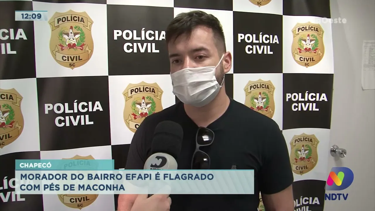 Chapecó: morador do Bairro Efapi é flagrado com pés de maconha