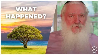 Here s What Nobody Told You About Adam And Eve