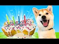 IT S DOGE S BIRT AY Baking a Puppy Cake