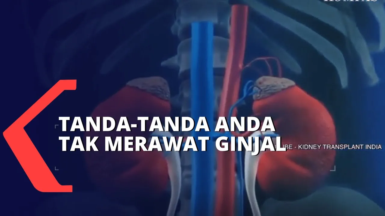 
          
          
          
            
            Ini yang Akan Terjadi Bila Anda Tak Merawat Kesehatan Ginjal
          
        . 