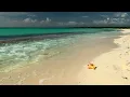 Relaxing Music with Gentle Ocean Sounds, Soothing Waves and Peaceful Music