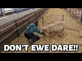 Don't EWE even THINK about it!!!