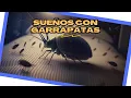 SONAR con GARRAPATAS Cual es su SIGNIFICADO Interpretacion de los SUENOS