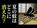 Download Lagu 【あの生き物は今】なぜ蚊は日本の夏から姿を消したのか？