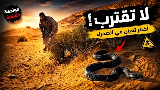 اهل الخبره ما نوع اثار هذا الثعبان