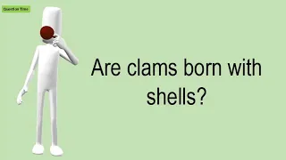 Are Clams Born With Shells 