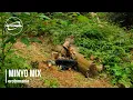 Download Lagu erotomania | MINYO Mix | Putter Around Club