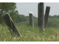 Remembering Iowa s forgotten cemeteries