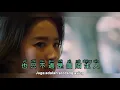 曾经心痛 - Cen Jing Xin Tong - Sally Yeh - Pernah Sakit Hati - Lagu Mandarin Subtitle Indonesia Pinyin