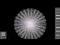 Slime Mold Simulation