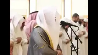 و ال  ذ ين  إ ذ ا ف ع ل وا ف اح ش ة  أ و  ظ ل م وا أ نف س ه م  ذ ك ر وا الل  ه   الشيخ ياسر الدوسري دندنها
