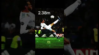 اقوى دبل كيك في العالم    دندنها