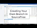 Creating your own Branch using SourceTree 6 of 9