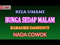 Download Lagu KARAOKE DANGDUT BUNGA SEDAP MALAM - RIZA UMAMI (COVER) NADA COWOK