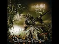 Angels Don't Kill (Live at Bloodstock)