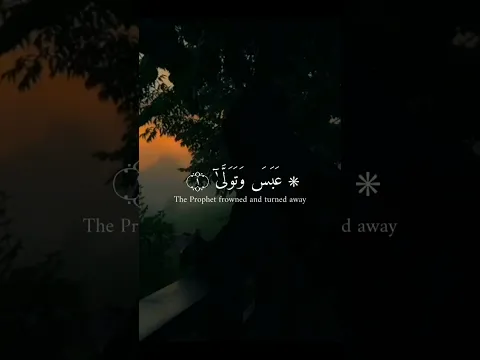 اكتب شيء تؤجر عليه 🌿🤍