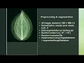 Plant Leaf Disease Detection Using CNN MATLAB Deep Learning Project 91 Accuracy