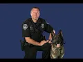 K9 Doc