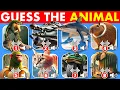 Download Lagu Guess The ITALIAN BRAINROT AI Animals Memes Part 1 | Bombardiro Crocodilo, Tralalero Tralala
