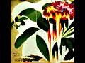 GOOD TIMES - Jungle