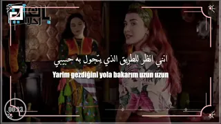 أنظر إلى طريق حبيبي 