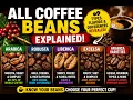 all coffee beans explained