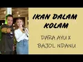 Download Lagu IKAN DALAM KOLAM - DARA AYU X BAJOL NDANU (Lirik)
