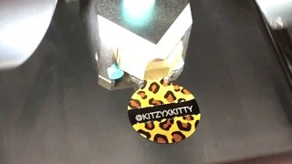 Tagworks Pet Tag Engraving Collar Making Machine Petsmart Demonstration