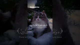 عينا فيها تسمى سلسبيلا محمد اللحيدان Nivetadhingramusic 