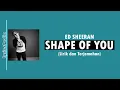 Lagu Shape Of You - Ed Sheeran (Lirik Lagu Terjemahan)