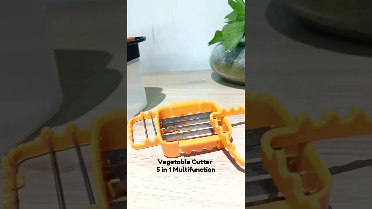 Multi-Blade Fruit & Vegetable Chopper with Interchangeable Blades & Container