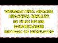 Webmasters Apache htaccess results in files being downloaded instead of displayed