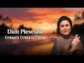 Lagu Dian Piesesha - Cemara Cemara Cinta (Official Lyric Video)