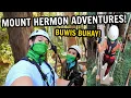 SEQUOIA AERIAL ADVENTURE