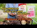 Lagu REKOMENDASI PUPUK KCL/MOP, MANA YANG TERBAIK?