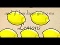 Miranda Lambert Bluebird Lyric Video