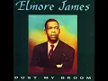 Shake Your Moneymaker - Elmore James