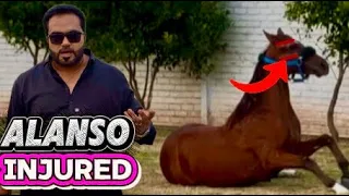 Alanso zakhmi ho gaya bohat zeada😰muffin kehta manay vlog bnana🫢(mian saqib)