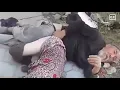 Download Lagu Portrait Video Nanny Canon EosR5 RF85 f1 2L DS