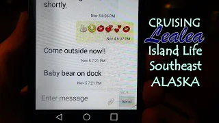 Cruising Lealea: Bear in the Harbor