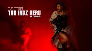 D'Litte ft Gharib - Tar indz heru