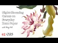 Lagu Night-Blooming Cereus Demonstration by Ning Yeh