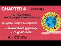 sociology chapter 4 plus one sure questions