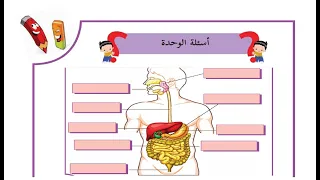 درس مراجعة الوحدة الاولي حل التدريبات الصف الرابع العلوم الدرس مراجعة 