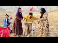 Download Lagu A nomadic girl helps a teacher in a disabled situation🥺