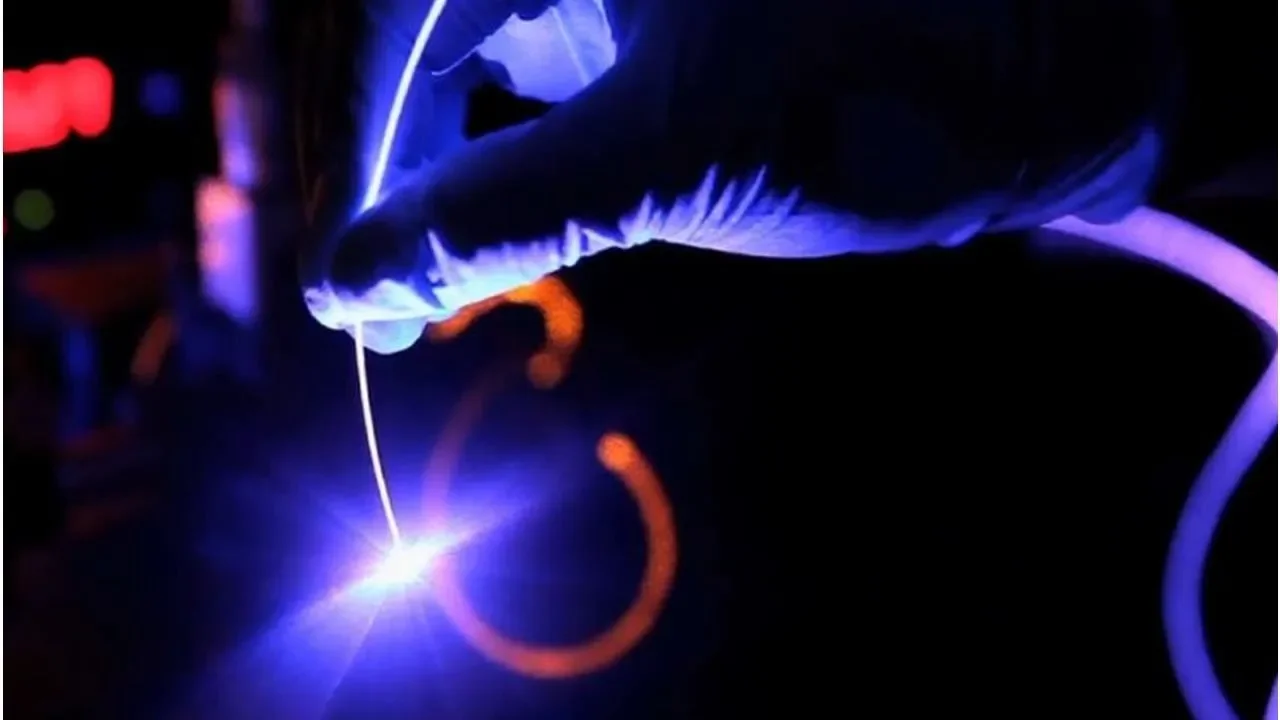 Luz y terapia génica para descifrar el cerebro | Pata TV