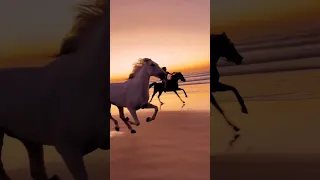 Ahmed Spins Feat Lizwi Waves Wavs 